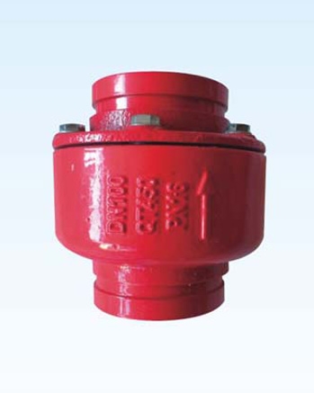 H81x-10 / 16q groove silencing check valve